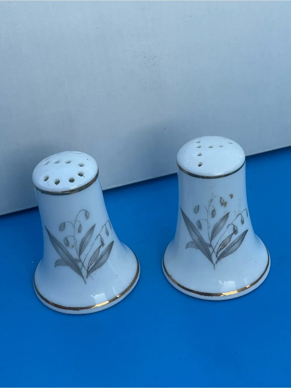 Cottagecore Porcelain White Salt & Pepper Shakers with Floral Motif & gold trim